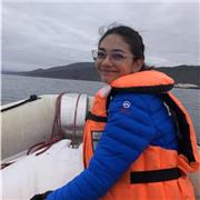 Clases particulares a domicilio para niños y niñas de Básica. Ayudo en cualquier materia pero mis fuertes son matemáticas, lenguaje e inglés. Ayudo reforzando, repasando y en sus tareas